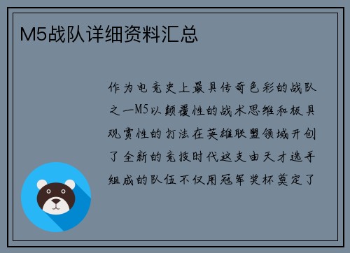M5战队详细资料汇总