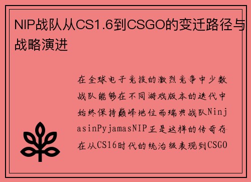 NIP战队从CS1.6到CSGO的变迁路径与战略演进