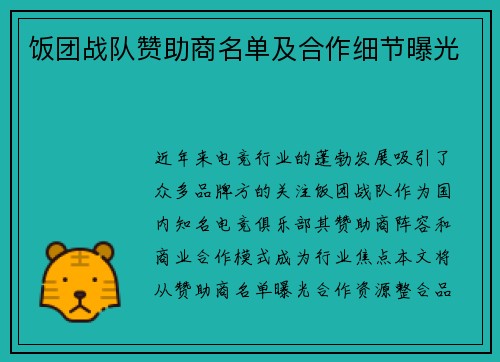 饭团战队赞助商名单及合作细节曝光